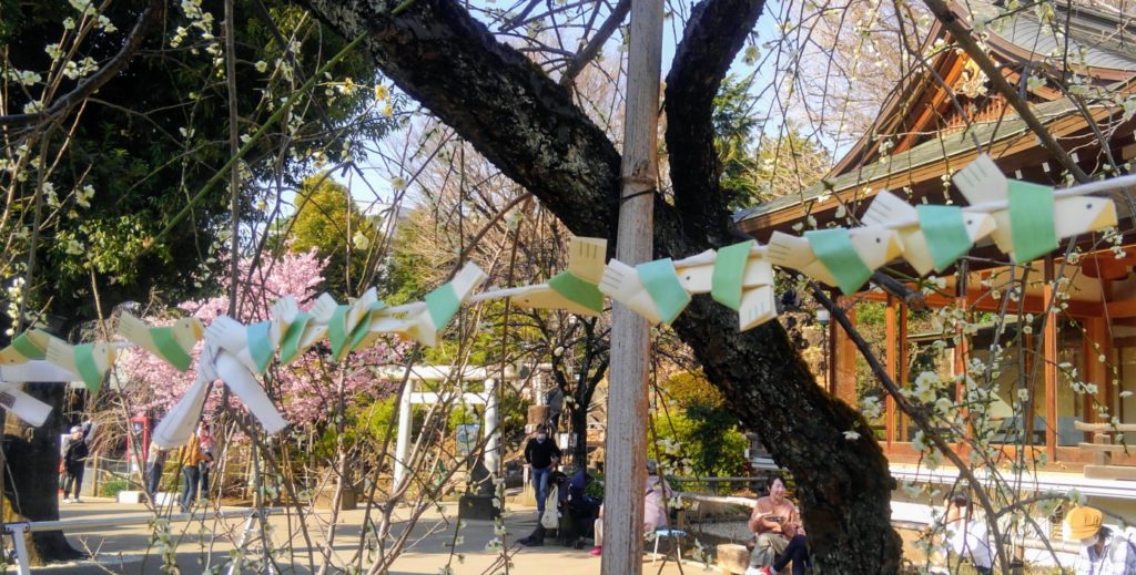 鳩森神社の鳩みくじ