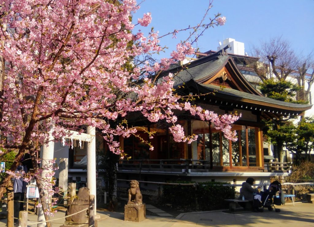 松村潔先生の門下にとって懐かしい場所でもある鳩森神社