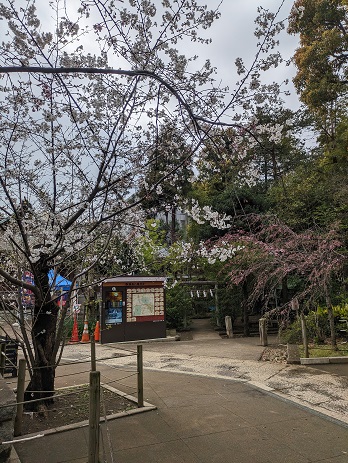 鳩森神社の境内