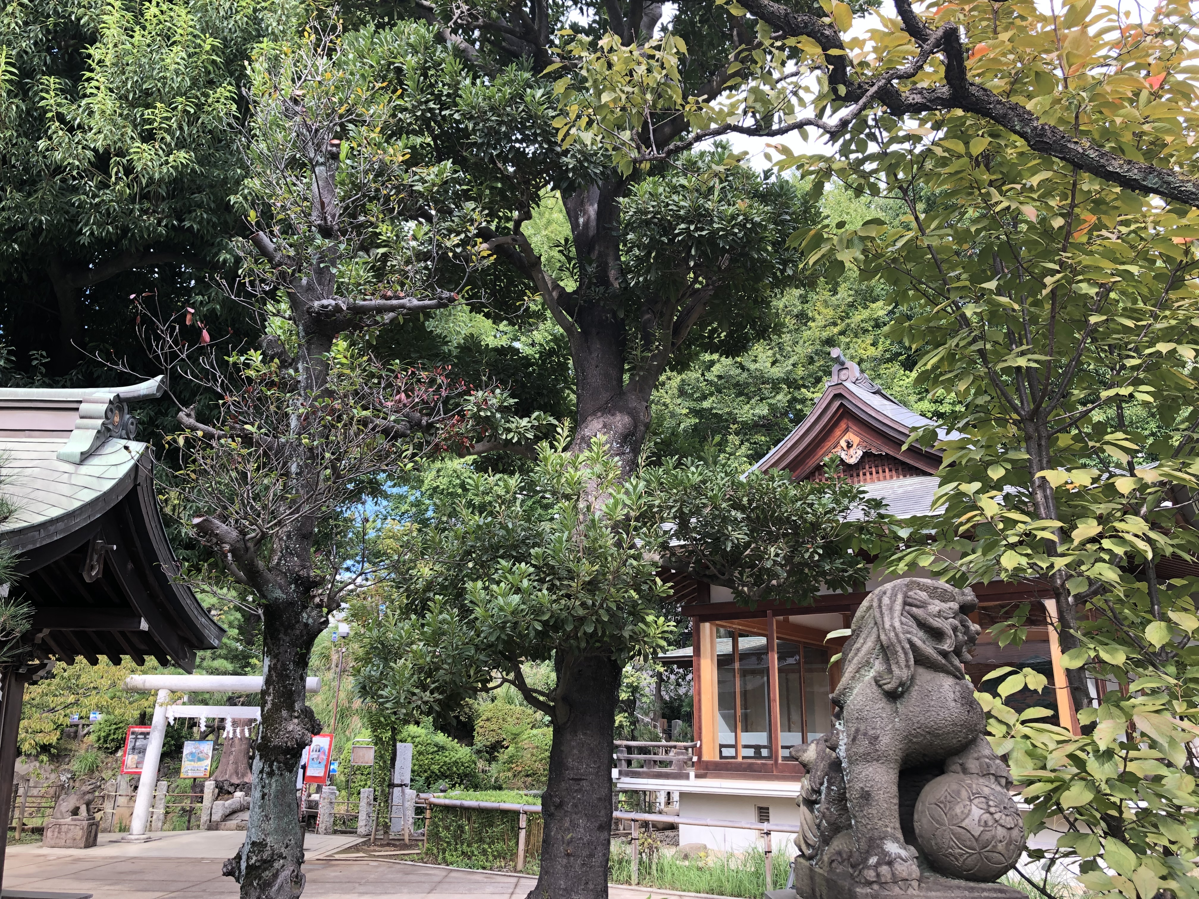 鳩森八幡神社