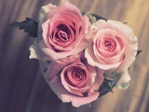 算命学でわかる「あなたは恋愛型？婚活型？」