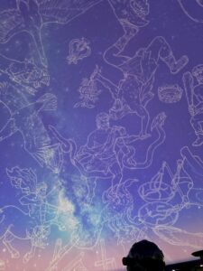 「ときめく相手」と「幸せになれる相手」は、同じですか？