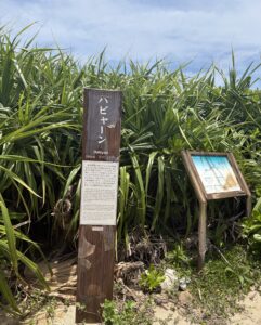アマミキヨが降り立ったと伝わるハビャーン