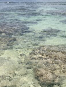 水が驚くほど澄んでいる久高島の海